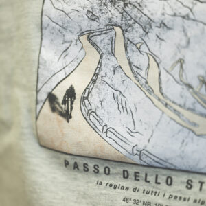 Stelvio detail 2